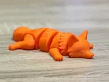 Flexi articulated FOX-3