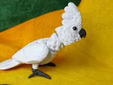 Cockatoo Articulated Figure-8