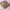 Squid Game Gonggi Catching Toy, Clicker Game Base
