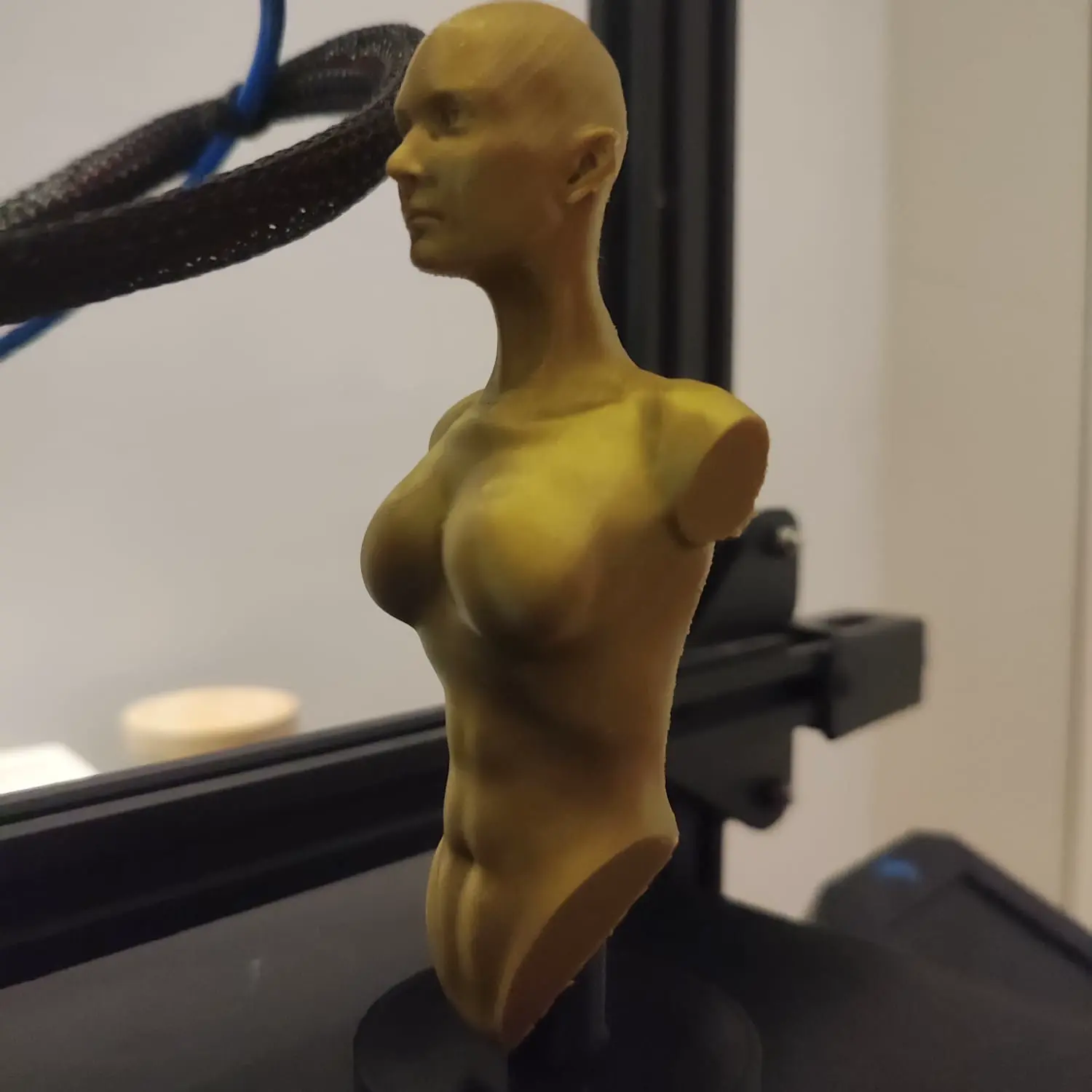 Female Bust