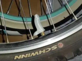 Penis valve stems