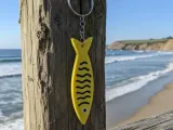 Sardine-4