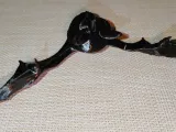 Chauve-souris - Nietoperz-3