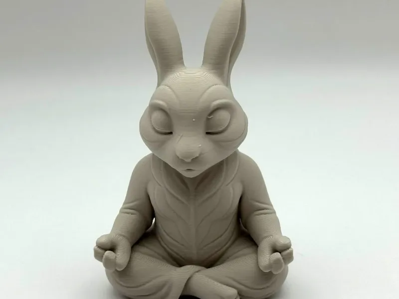 Zen Bunnie