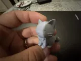 Cute Cat 🙀-2