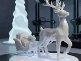 Reno Navidad-0