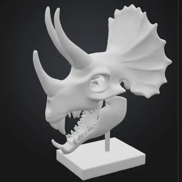 Triceratops skull with teeth