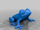 Coqui-0