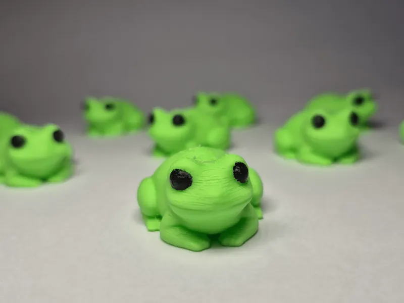 ¡Mini ranas magnéticas!