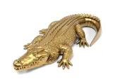 Crocodile-7