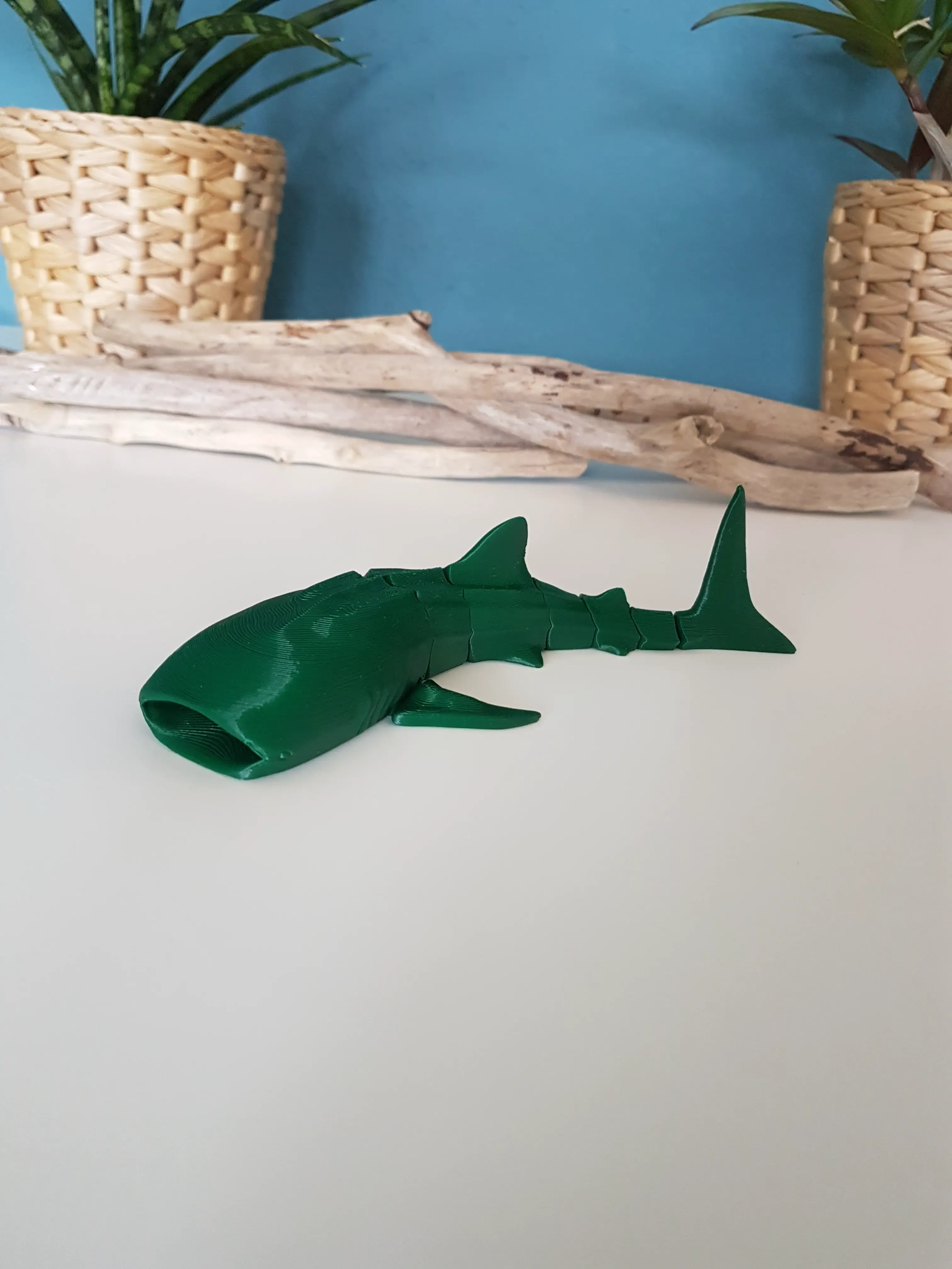 Whale Shark Flexi