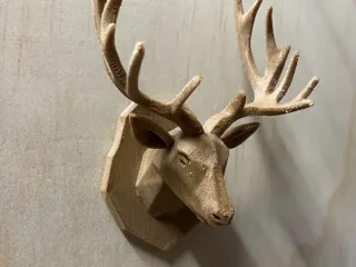 Mounted Deer Head