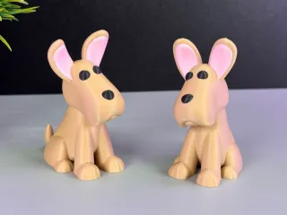 Cute Dog