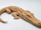 Alligator 1-0