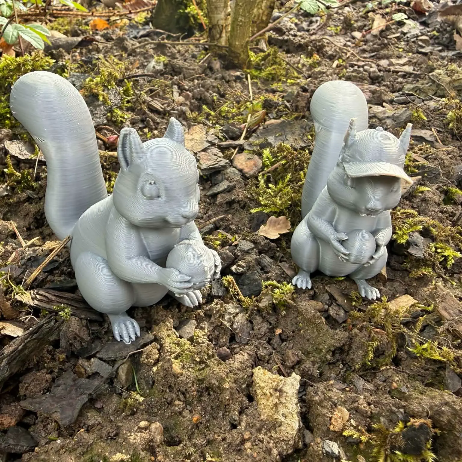 Squirrel with a nut and a hat