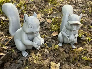 Squirrel with a nut and a hat