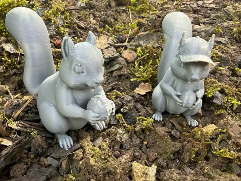 Écureuil avec une noisette et un chapeau