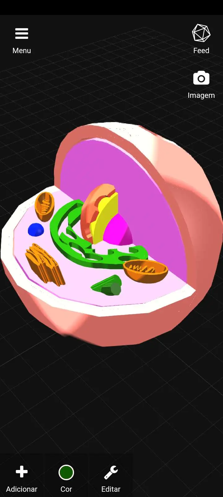 Cell / Célula