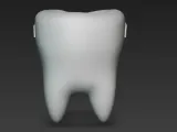 Tooth Buddy Holder –-2