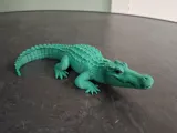 Realistic Crocodile-4