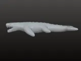Carnicetus Pliophyseter-0