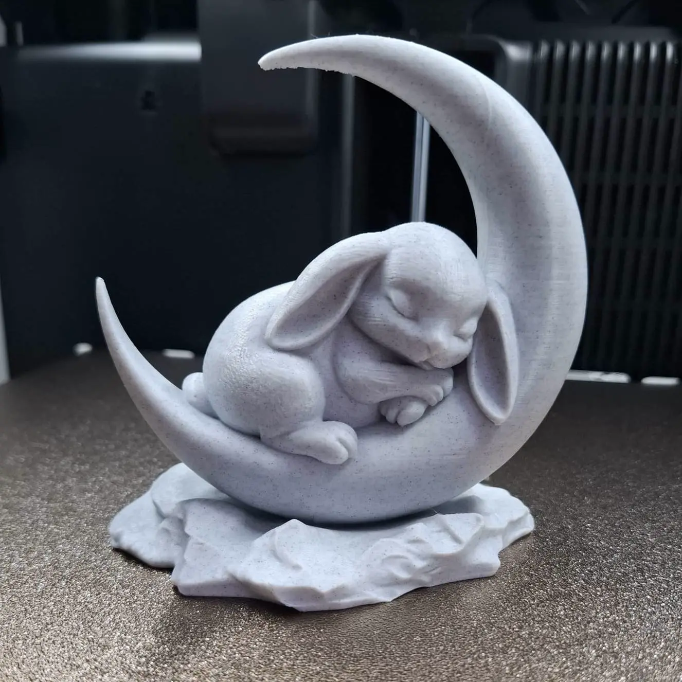 Sleeping Bunny on the Moon