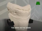 Megalodon Tooth Stand-2