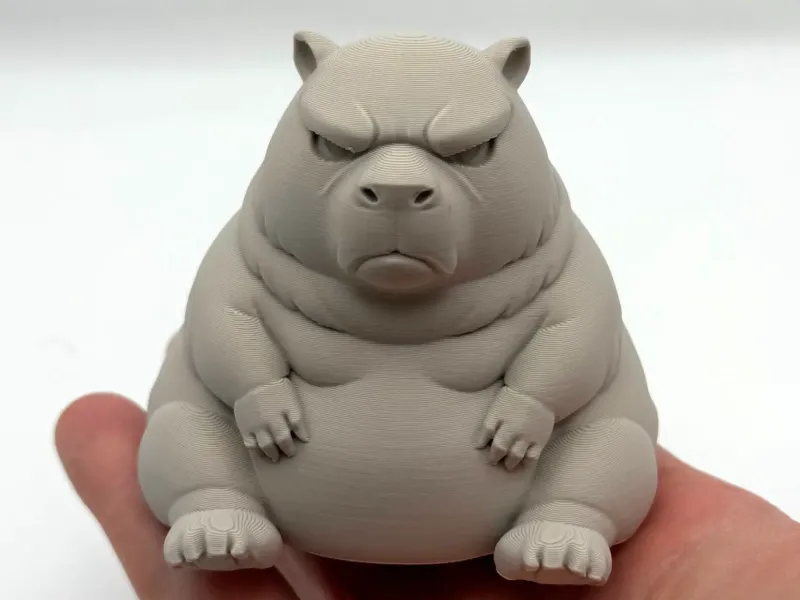 Chonky Grumpy Capybara