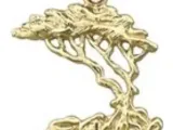 tree . bonsai-0
