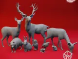 Forest Animals Bundle - Tabletop Props (Pre-Supported STL)-0