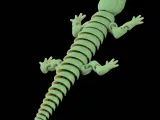 Flexi Salamander-1