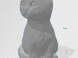 Cat white-3