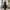 Veiled Black Bust Sculpture – Gothic Art Piece