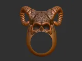 Skull King Ring 1-4
