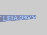 LEIA ORGANA_ star wars keychain-2