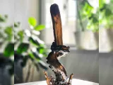 Esrarengiz Derinlikler: Cthulthu'nun Kucaklaması Mumluk-1