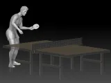 ping pong beach man 1-4