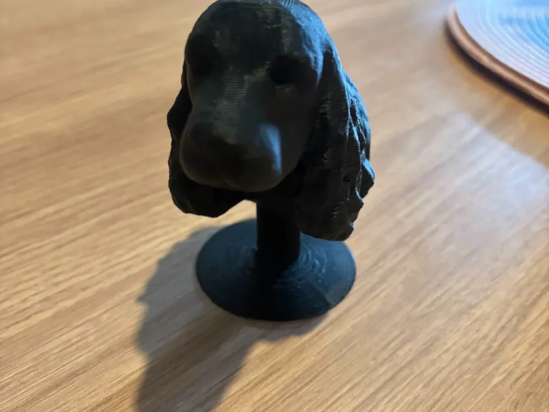 Cocker-Spaniel-Büste