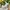 3D Bunny Vase – Cute Easter Decoration 🐰🥕