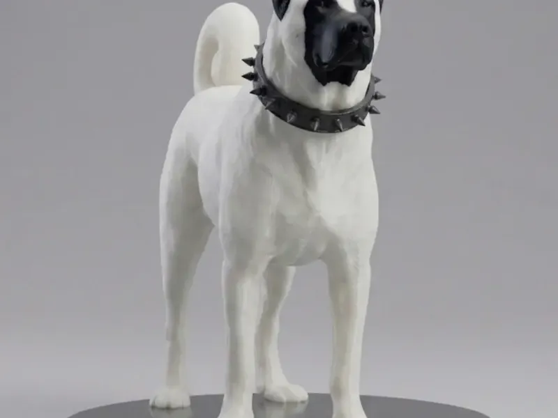 Sivas Kangal