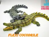 cocodrilo flexi-5