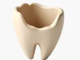 Tooth planter-1