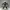 Halloween Boss-vibe ; Bonecrusher Ghoul - free until end HW