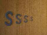 Strong S-Hooks (different sizes)-1