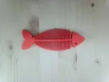 Fish Flexible-2