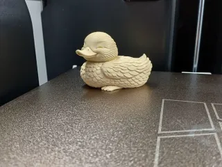 Gentle Little Duck