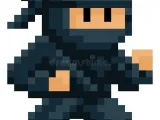 Pixel Ninja -3