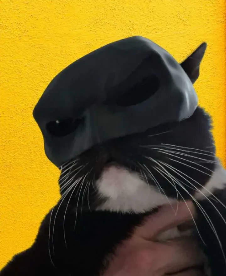 batcat helmet 