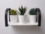 Plant shelf-0