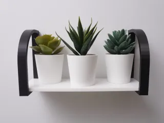 Plant shelf